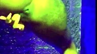 Hot Blondes Ass Loves Toys And Dicks