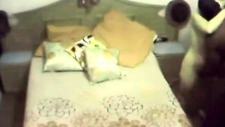 Auntie geting pleased by black lover (spy vid)