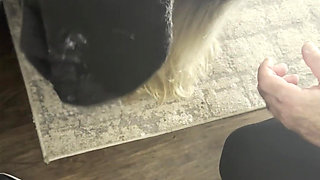 Best Bukkake Face Pie Ever