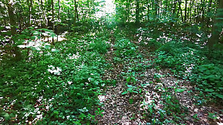 Tits banging in the woods