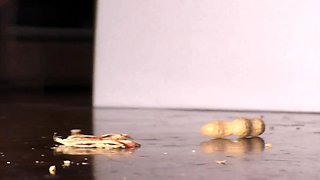 amateur his tall blonde fetish masturbating on live webcam