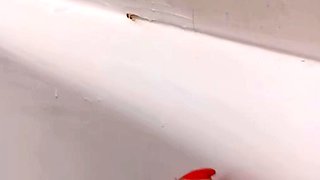 Amateur striptease and Solo masturbation