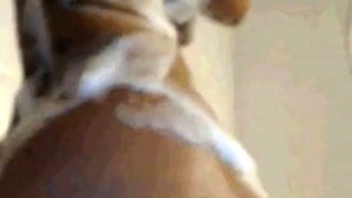 Big Booty Latina With Huge Tits In The Shower