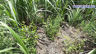Komal walked ahead into the sugarcane field and followed behind Ushka Lover