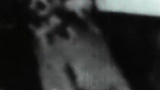 Vintage porn retro erotic theatre - classic threesome affair