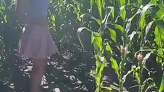 Unallowed Anal Adventure in a Cornfield - Too Sweet to Stay Good!