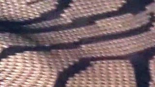 Ass Fuck for the Net Dressed Slut