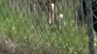 Kinky Neighbors: Pissing, Submission, Blowjobs, and Backyard Sex