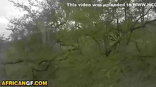 Sexy Black Girlfriend Blows Bwc American Boyfriend After Strip Tease - Bwc Boyfriend