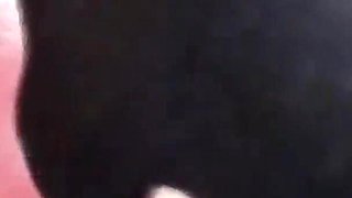 Cuckold Addicted for BBC