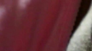 Closeup: Omg! Best Srilankan Pussy Licking