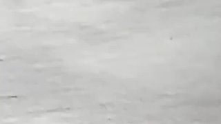 Hot Desi Sex