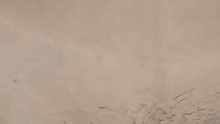 Sex Wife Muslim Arabic Language