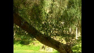 Rough Face Fucking Until Tears Run Down Makeup Ruined Face