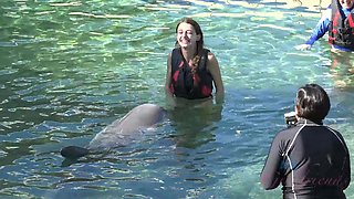 Your trip to Hawaii with willow is short but well worth it