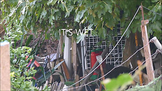 Halloween 25 preview when it's wet outside Cum Inside.