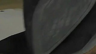 Trampling Cock