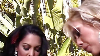 Lesbian orgy with Tera Patrick, Brianna Banks, Lanny Barbie and more