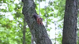 Exotic Porn Video Deep Throat Unbelievable Just For You