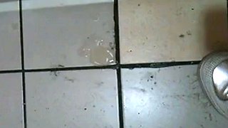 Korean Amateur Sucks Cock in Bathroom Gloryhole