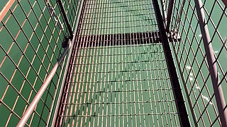 Foot Fetish Outdoor Bridge Crossing