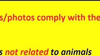 Luishen Goddess Boobjob Hentai 3D - Uncensored V267