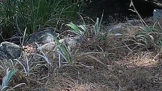 Girl gets her ball from the neighbor and gets a good balling