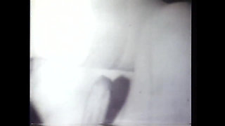 The Group of Suckers