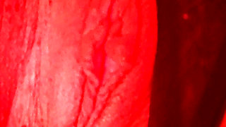 Gostosona masturbando