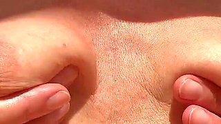 Tits Play in the Sun