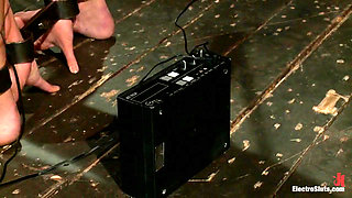 Cassandra Get a Hard Sign off From an Electro-lez Strap-on!