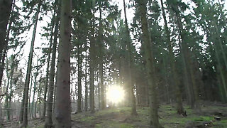 German Sex Stars Wild DP Orgy Scenes