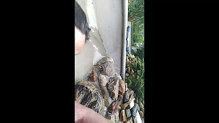 Candi Annie Sucks Cock and Swallows Cum in Fountain