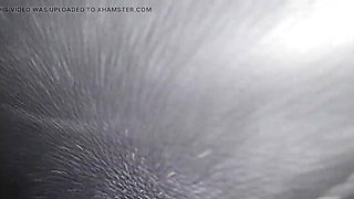 Kinky Indian Cab Driver Fucks Desi Wife in Car - Taboobreakers HD Homemade