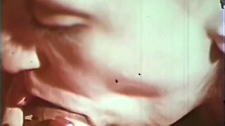 Celebrity Bad Girls - Full Vintage Movie