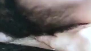 Cirque Du Swingers