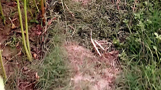 Hot Bengali Boudi Xvideo
