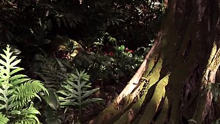 Blonde Blowjob Outdoor