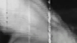 The Gozona Pig Gets Milk