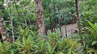 Outdoor Creampie for Horny Filipina (we Almost Got Caught)