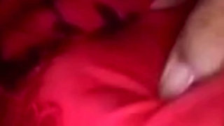Amateur pretty girl showed boobs and tight pussy to boyfriend on video call
