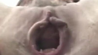 Wonderful Teen Fisted in Hairy Pussy Then Fucked and Cummed by Monster Black Cock