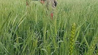 Indian Desi tight video, Desi beautiful girl first time  video, Desi video