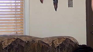 Stupid Guy Forgets to Record His Stepsister Fucking with Nickey Huntsman & Richard Nailder