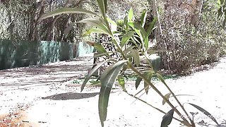 Date's 50 plus video by Aunt Judy's