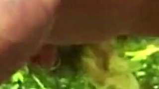 Ass fucking ass fingering in the forest