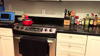 Stacked brunette goes solo toys and masturbation
