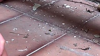 Gordinha Pegou a MILF No Bloco De Carnaval E Levou Na Casa Abandonada