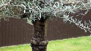Euro blonde amateur fucks POV outdoor