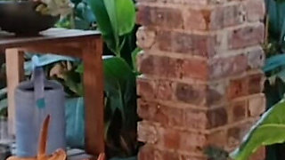 Outdoor Fun with My Neighbours Slutty Wife